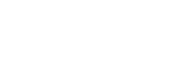 The Writer Logo